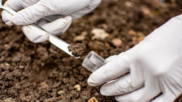 Researcher collecting soil sample in test tube