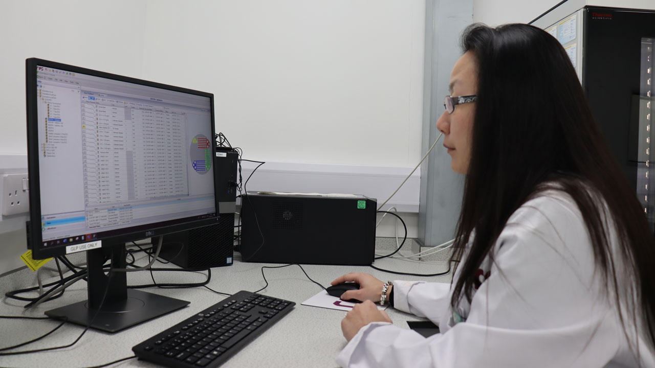 Grace Tsui working at a computer in the laboratory