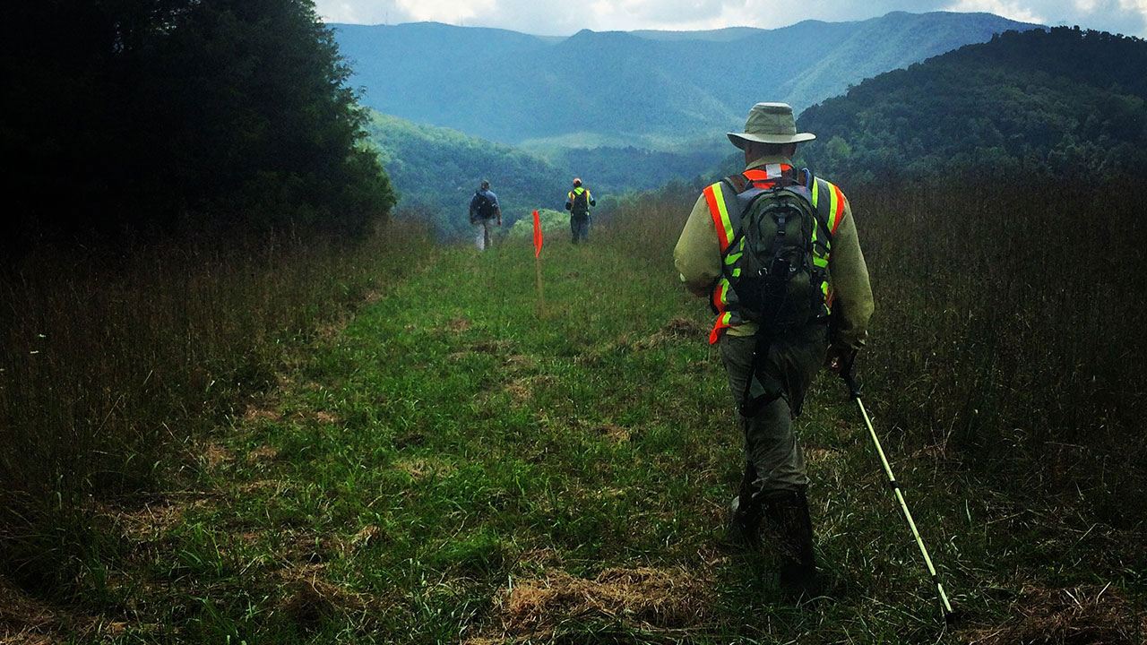 Field survey crew wearing high-visibility vests walking along a grassy transmission corridor, conducting routing and siting work in a mountainous landscape