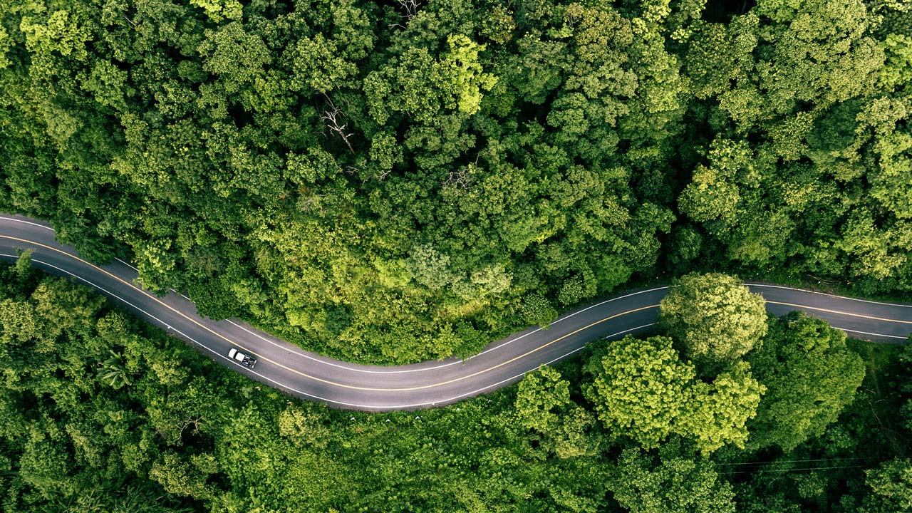 Aerial view of road in the middle of the forest