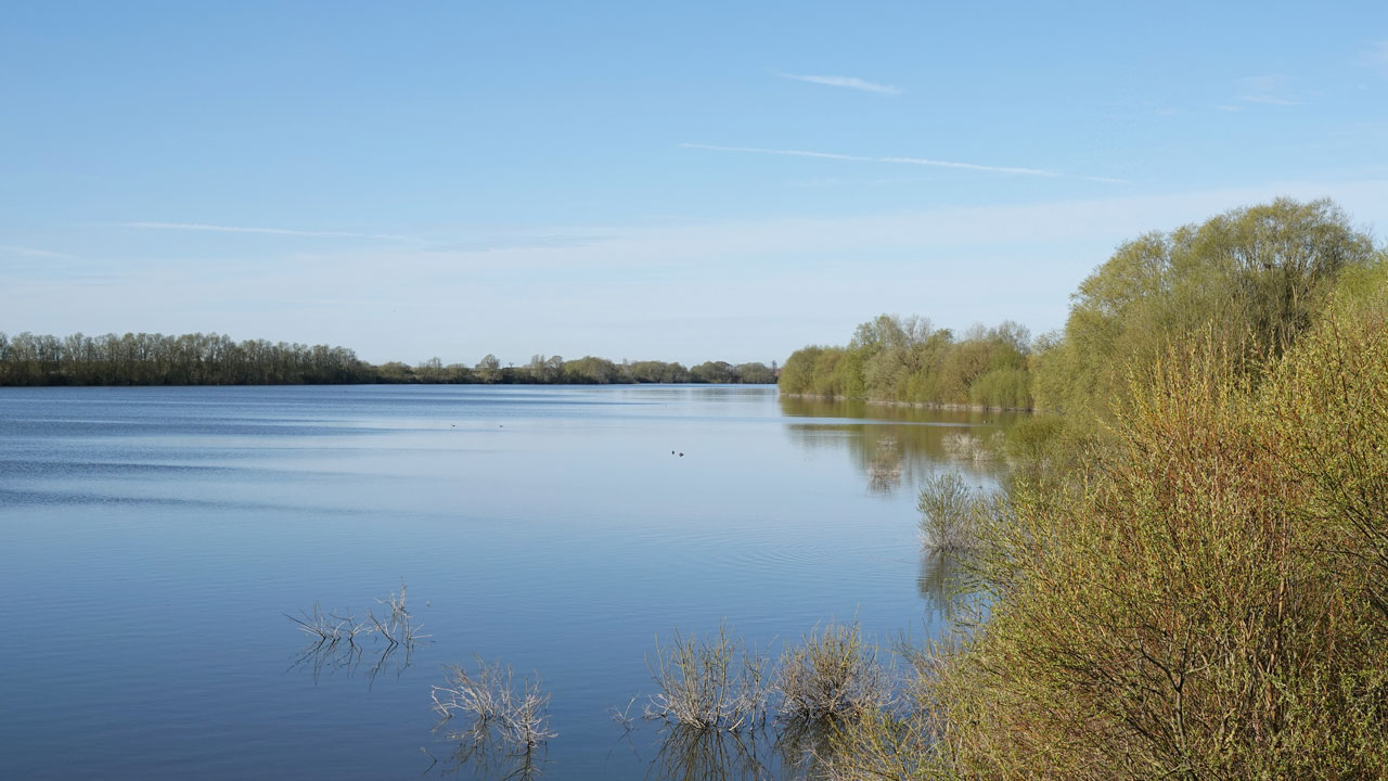 A view across a water reservoir with trees in the foreground