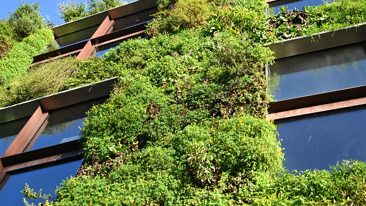 Outdoor photo of an office building with a façade of plants across the whole exterior framing the windows