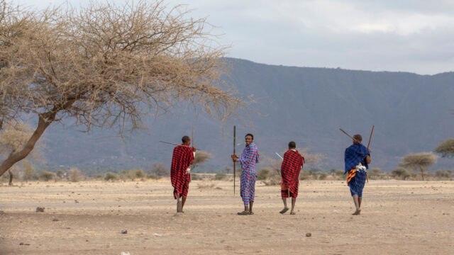 Members of a local tribe in traditional dress walk through an open savannah landscape