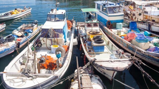 Several small fishing boats moored in a harbour