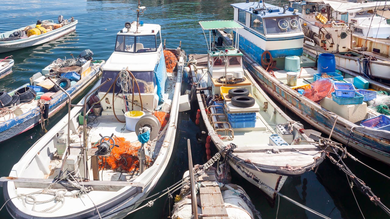 Several small fishing boats moored in a harbour