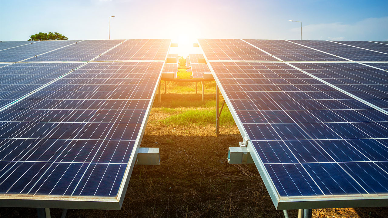 Up close photograph of a solar farm