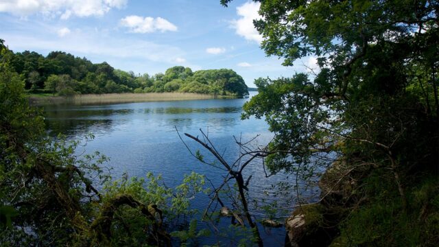 View across a lake with trees on the shoreline and mountains on the horizon