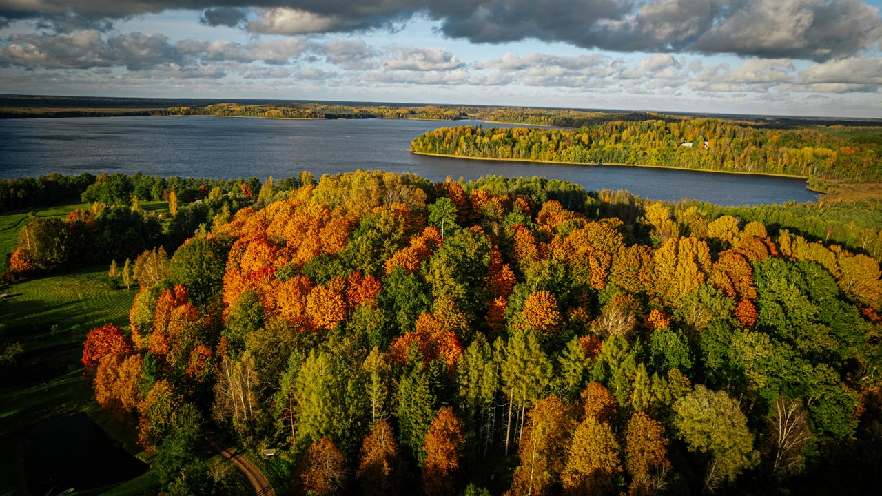 Aerial view of a forest with orange, yellow, and green trees beside a broad lake under a cloudy sky.