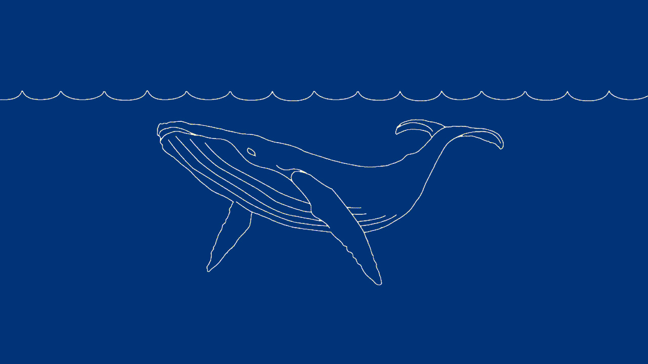 Illustration of a whale on a blue background