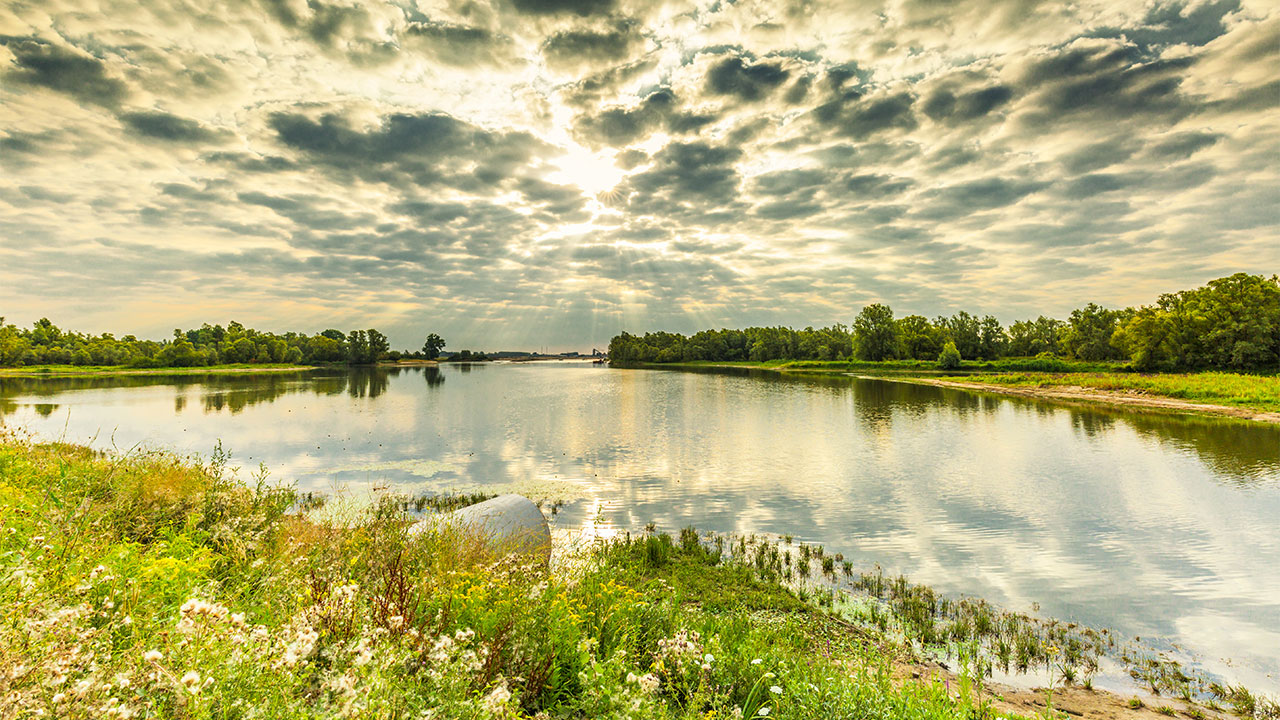 A view across a river overflow