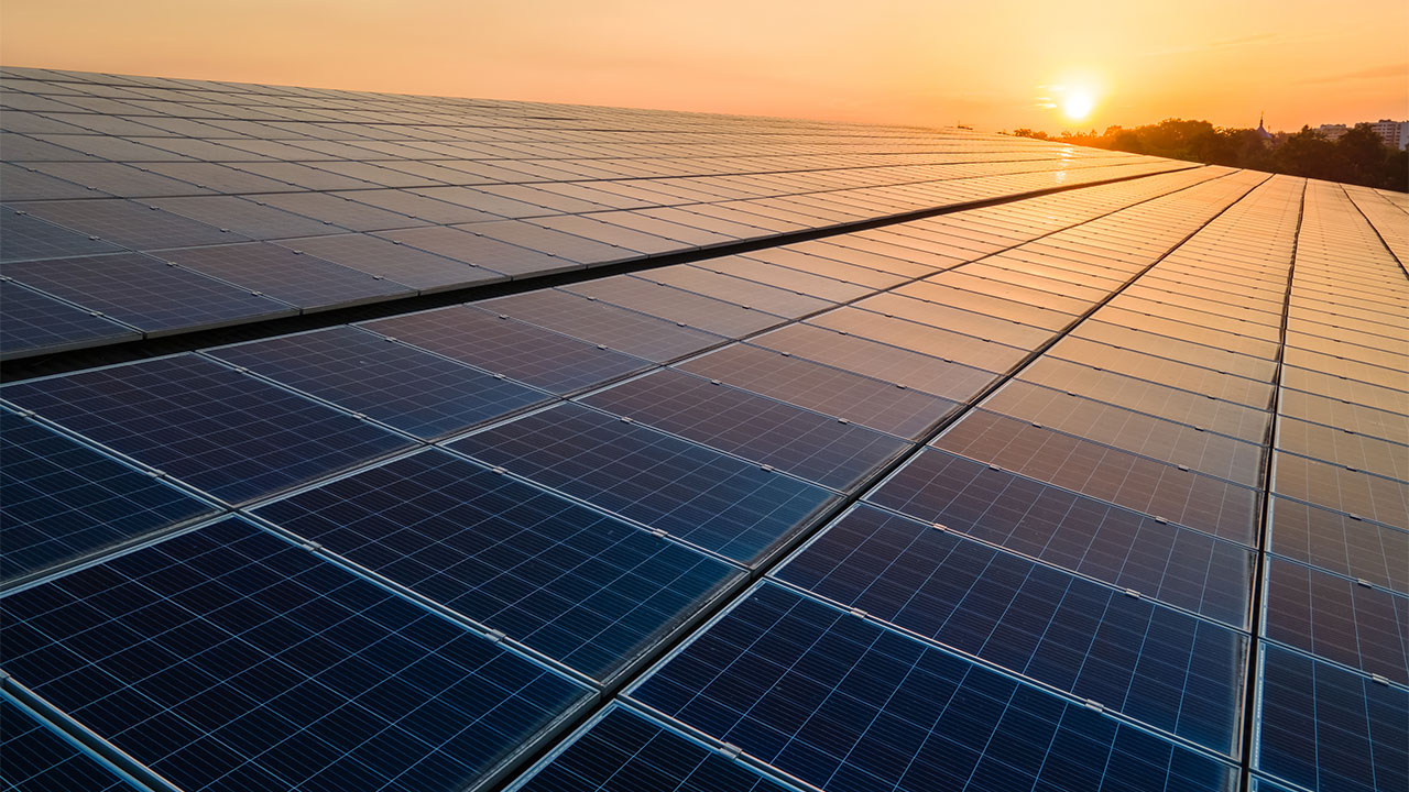 Closeup photograph of a solar farm