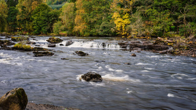 A rushing river with woodland area in the background