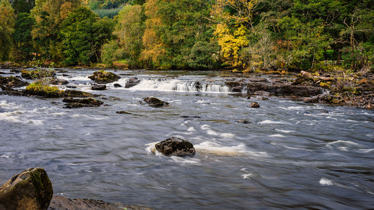 A rushing river with woodland area in the background