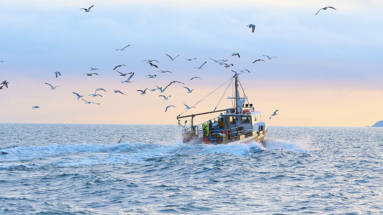 Fishing boat on the sea surrounded by seagulls in the air