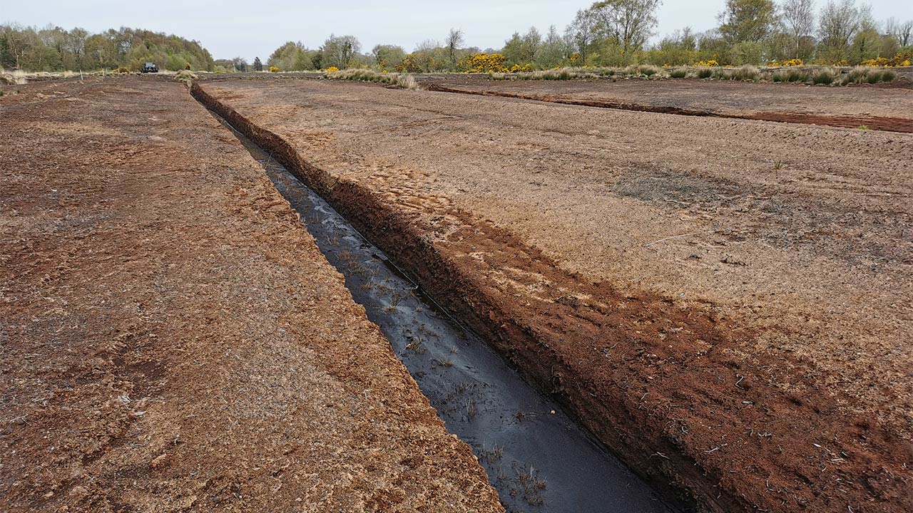 A drainage channel running through a peatland landscape