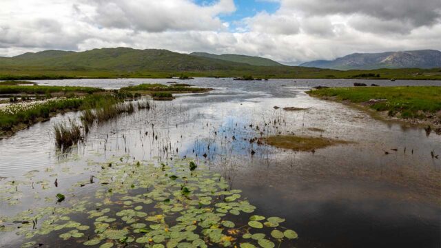 View across a wet bog in Ireland