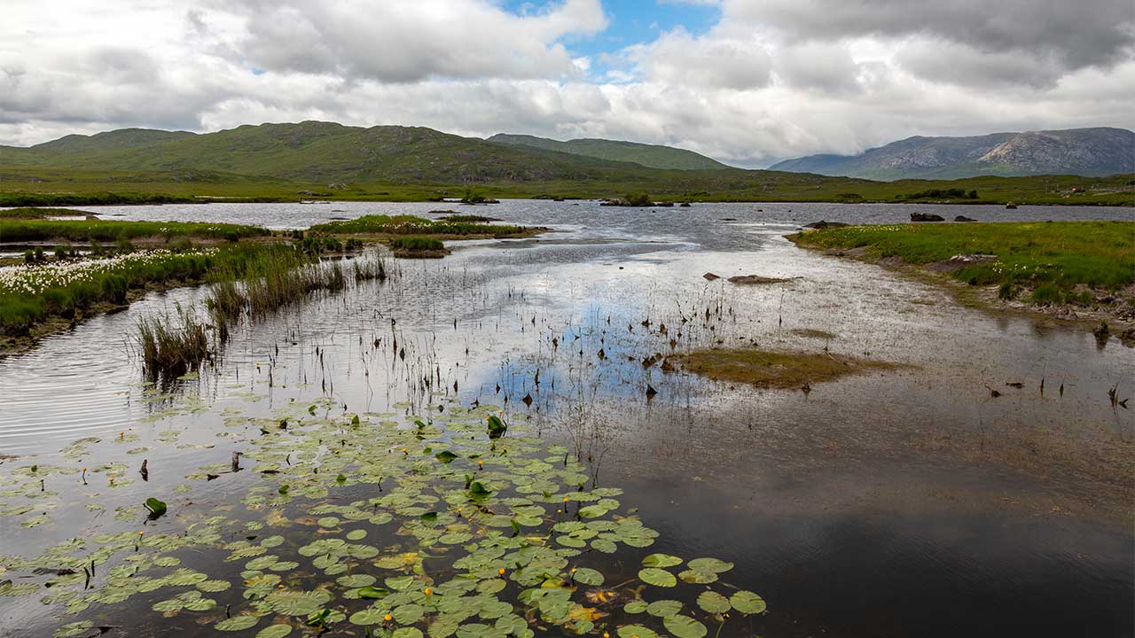 View across a wet bog in Ireland
