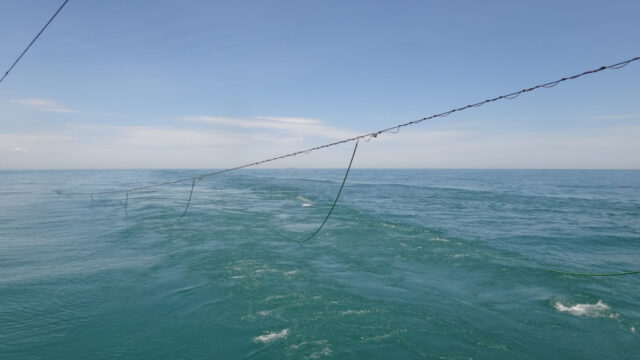 A sea view showing the wake of a ship and cables leading underwater, attached to instrumentation being pulled behind the vessel