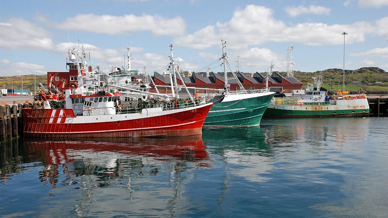 A view of three colourful fishing boats moored at the harbourside with modern buildings behind and green hills in the distance