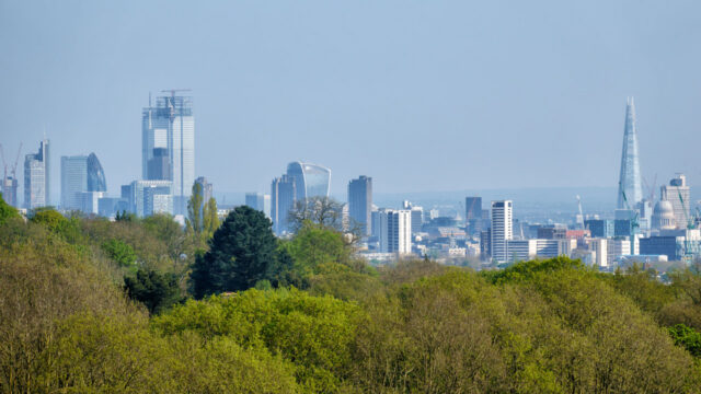 City skyline with trees in foreground and clear blue sky