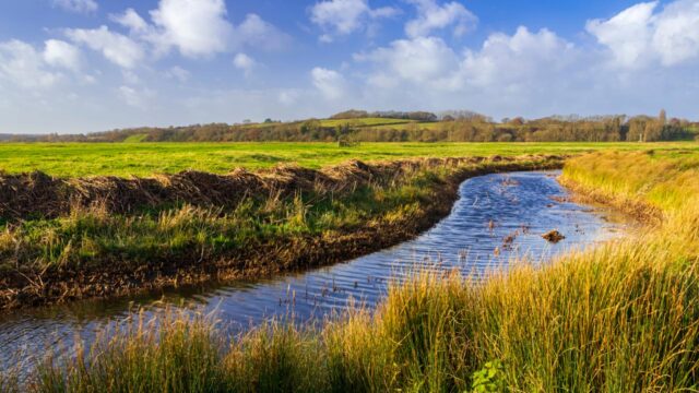 View of Pett Level with Hog Hill in the background east Sussex, South east England