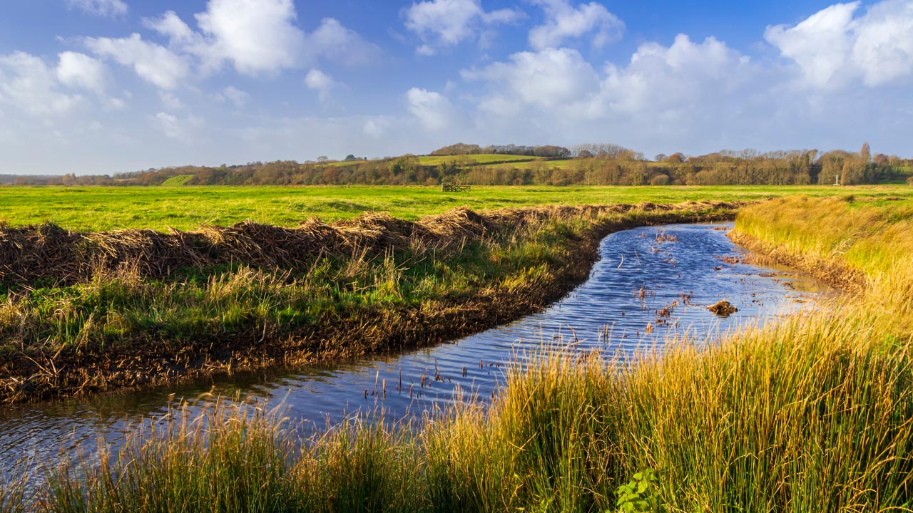 View of Pett Level with Hog Hill in the background east Sussex, South east England