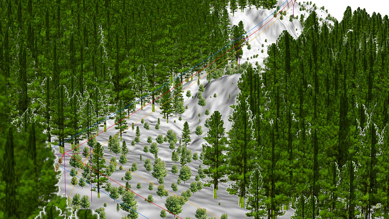 LiDAR image of trees on a mountainside and power lines running through the middle of a forested area