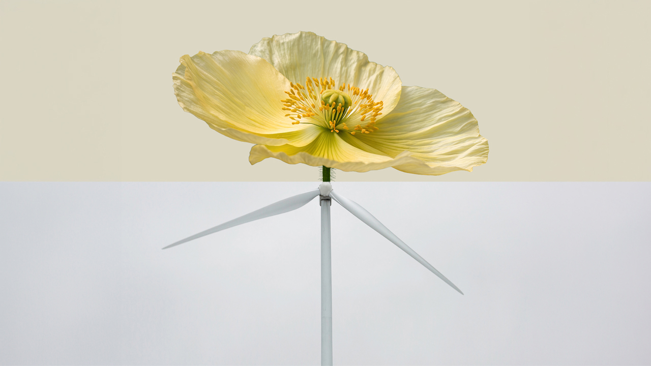 Photograph of a wind turbine with a large yellow flower replacing its rotor blades, blending nature with renewable energy technology