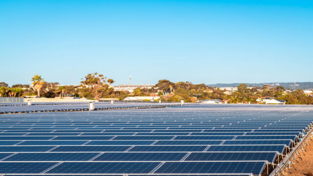 Rows of solar panels stretch across a field with trees and buildings in the background under a clear blue sky