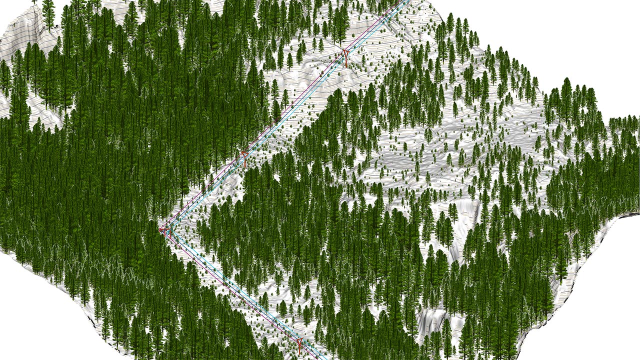 Digital Surface Model (DSM) with contour lines, classified forest and Hillshade