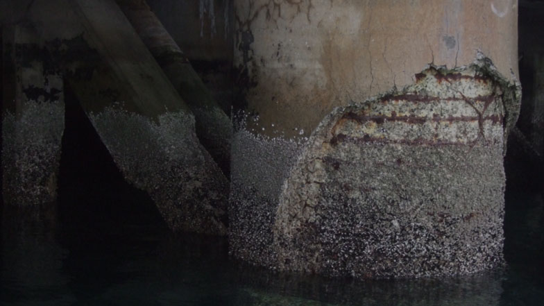 Underwater view of a deteriorated concrete wharf pile with significant surface cracking, spalling, and exposed reinforcing steel at the waterline
