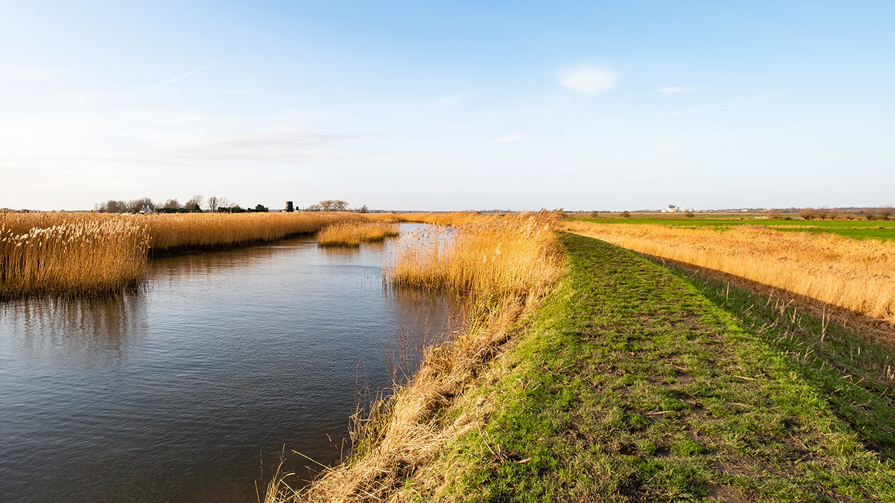 The Ward Way public footpath along the River Yare, Norfolk